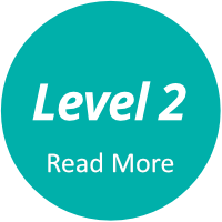 level 2 more